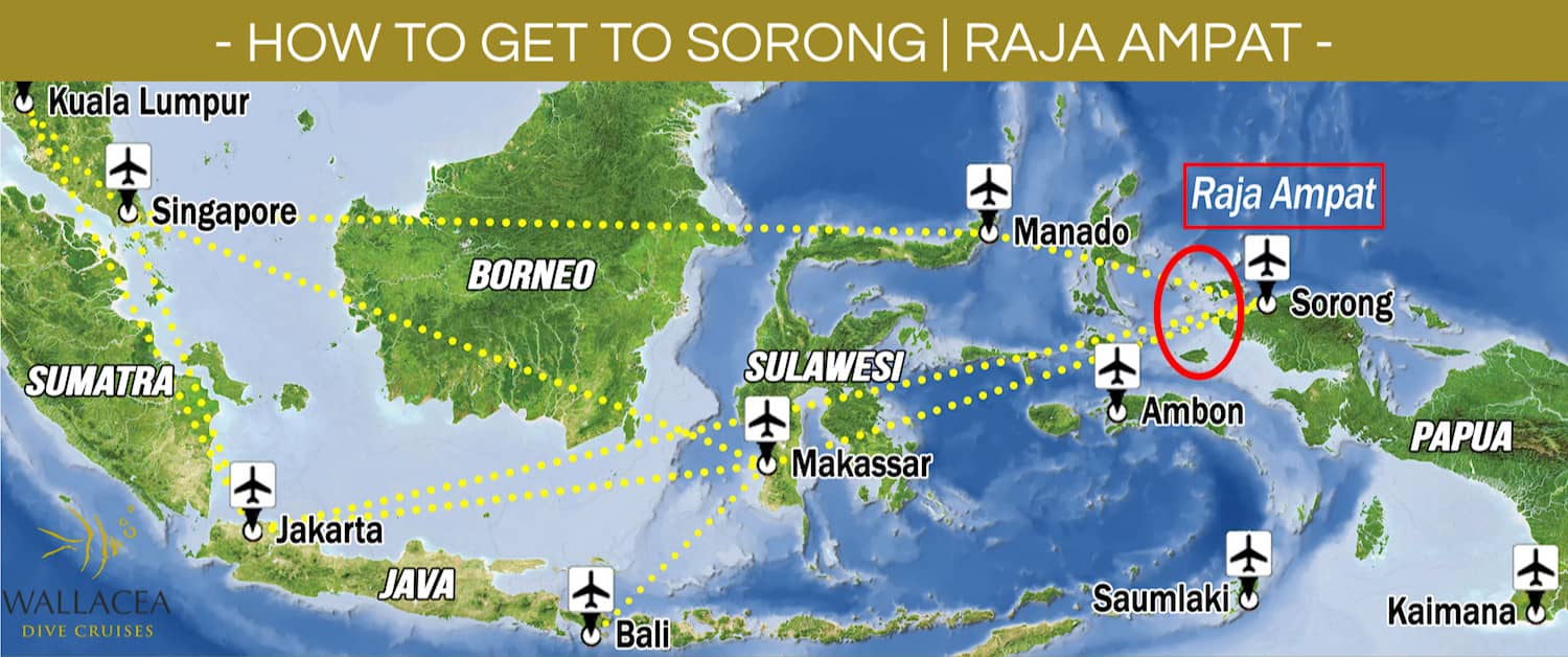 How to Get to Raja Ampat - Flights to Raja Ampat